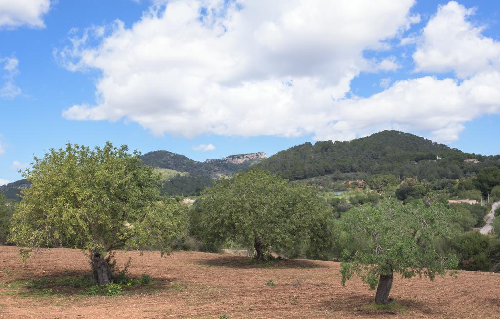 Finca Batlet S'Horta 외부 사진